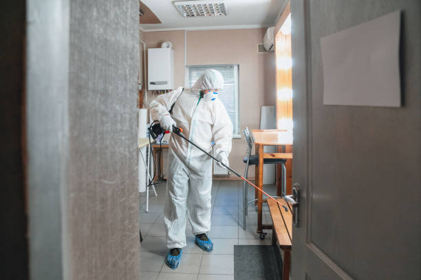 Best Dehumidification Services  in Plains, MT