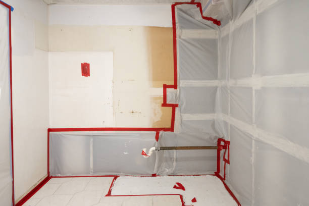 Best Post-Construction Mold Inspection  in Plains, MT