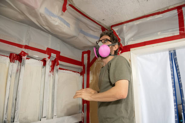 Best Residential Mold Inspection & Testing  in Plains, MT