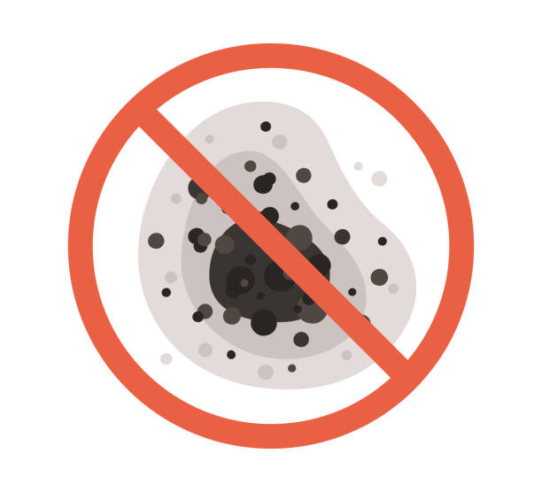 Best Indoor Air Quality Assessment  in Plains, MT